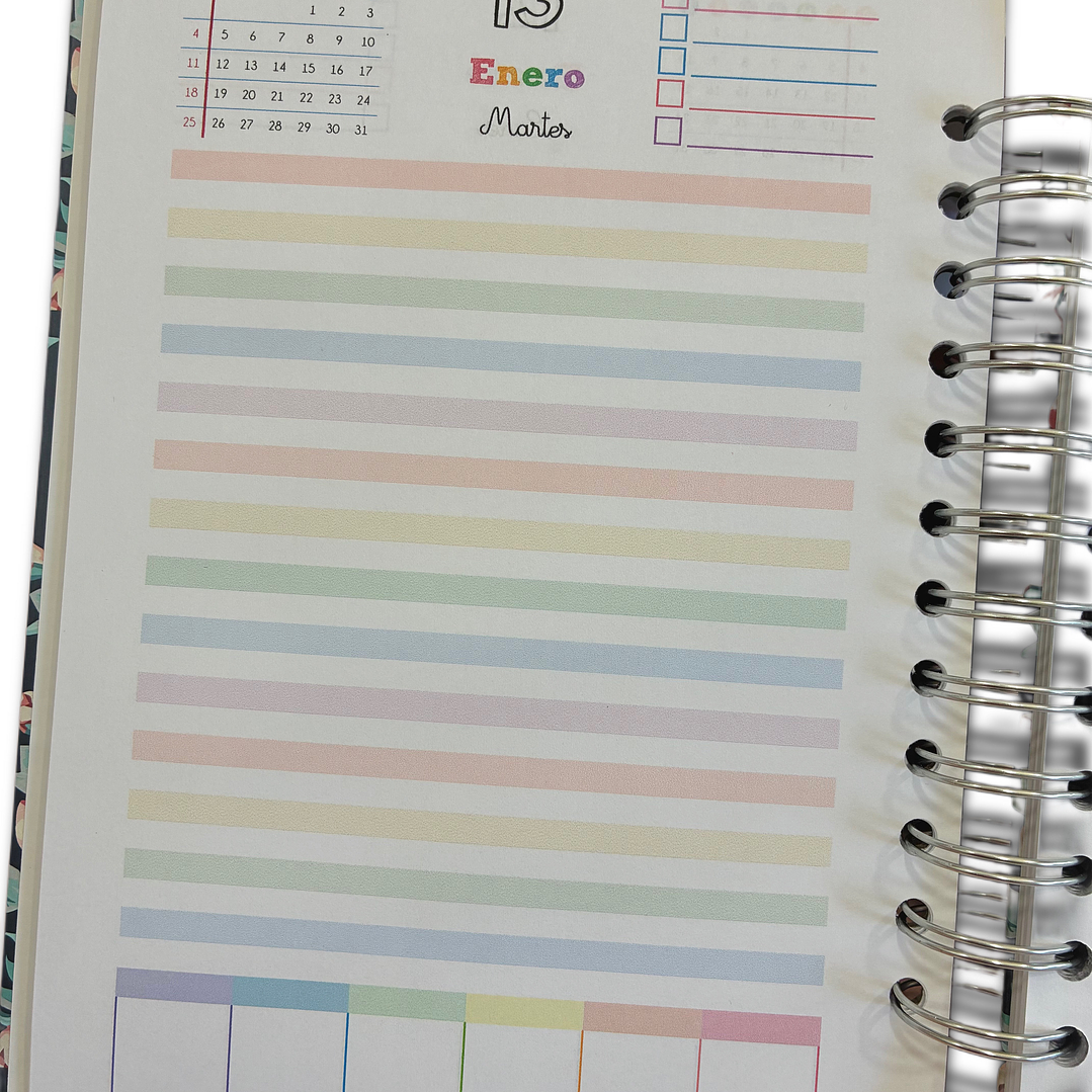 Agenda Diaria 2026 (Modelo 02) 2