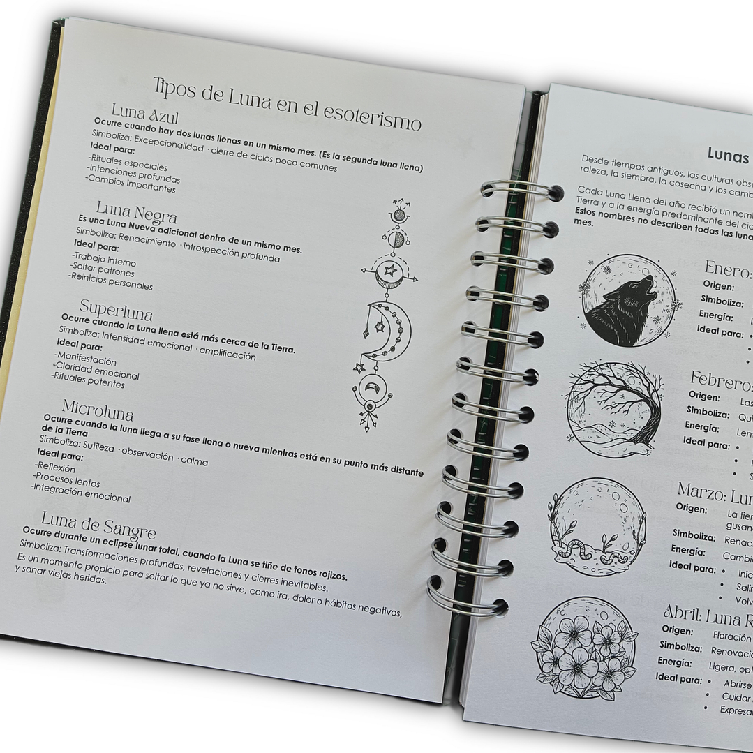 Agenda Lunar 2026 11
