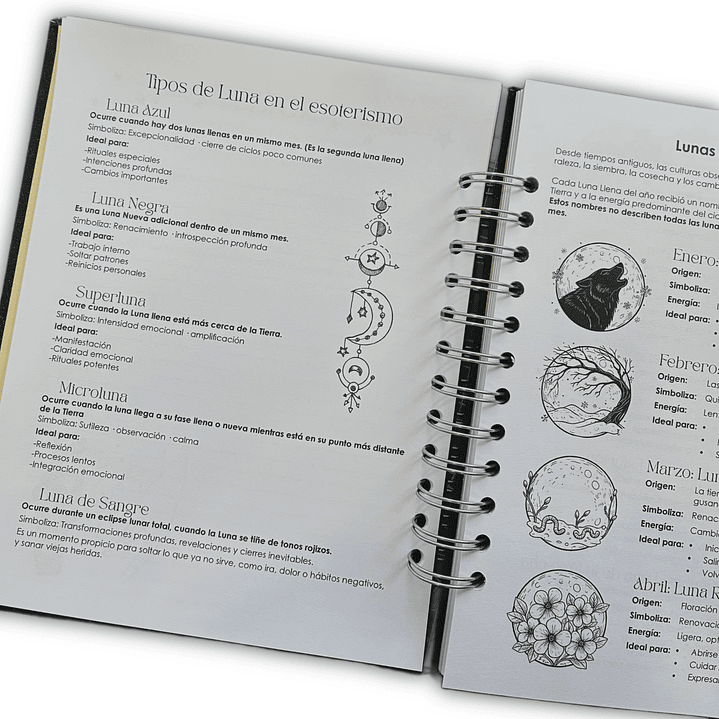 Agenda Lunar 2026 11
