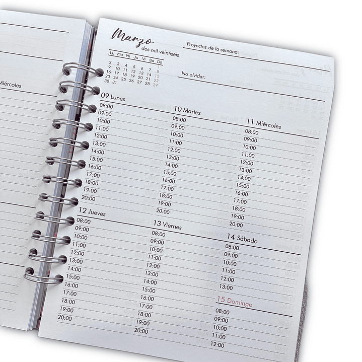 Planner Docente 2026  2