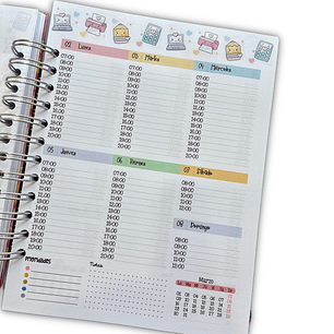 Planner Docente 2026 Educadora y Primaria 