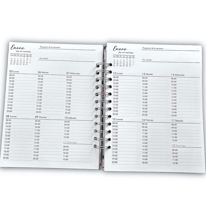 Planner Docente 2026 - SALE 8