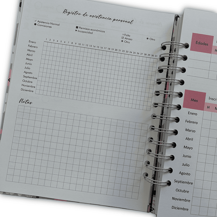 Planner Docente 2026 - SALE 10