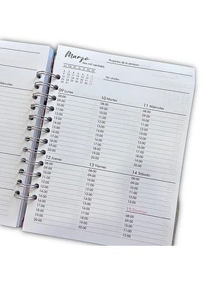 Planner Docente 2026 - SALE