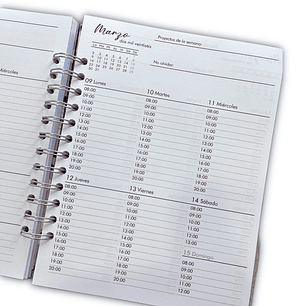 Planner Docente 2026 - SALE