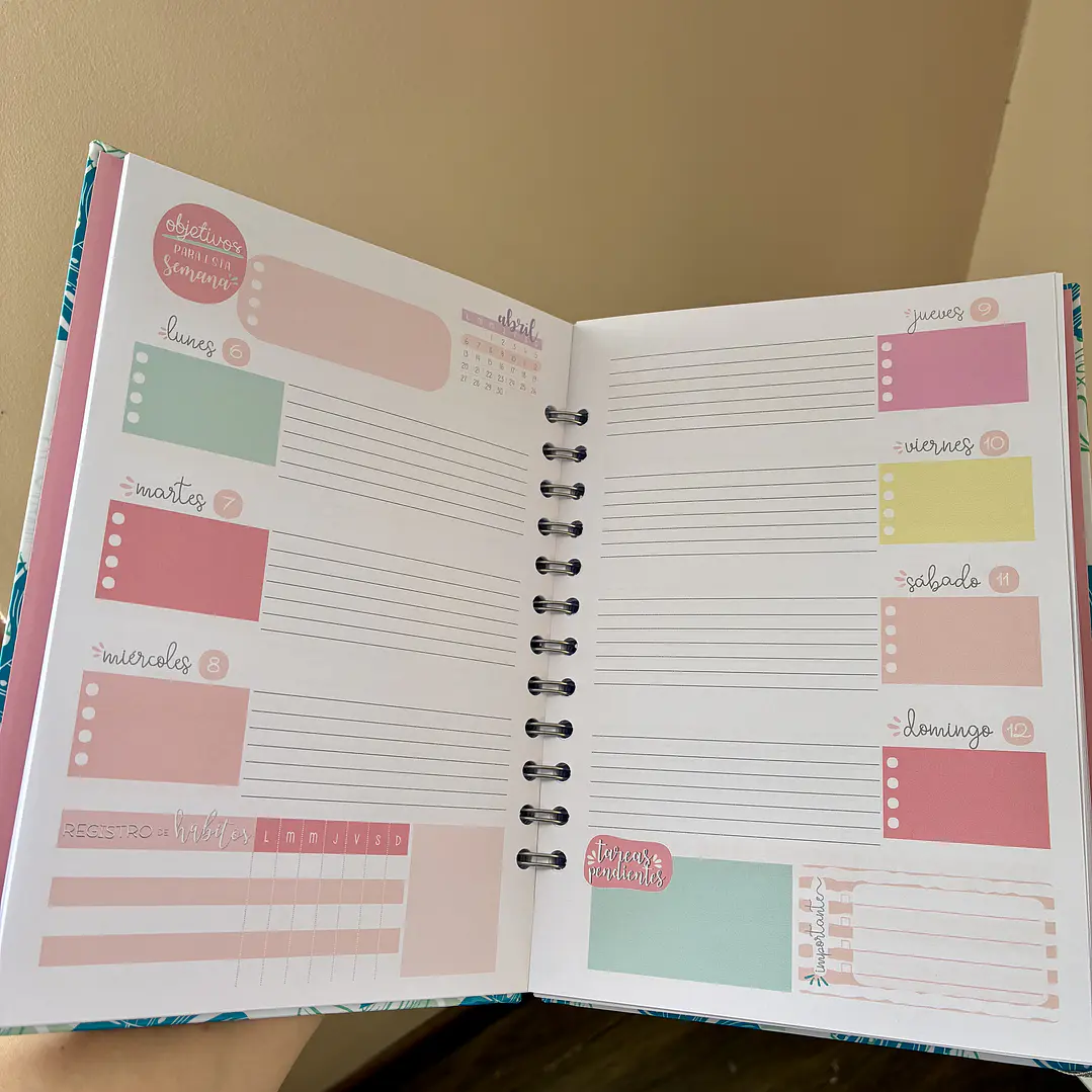 Sale - Planner 2026 líneas colores  2