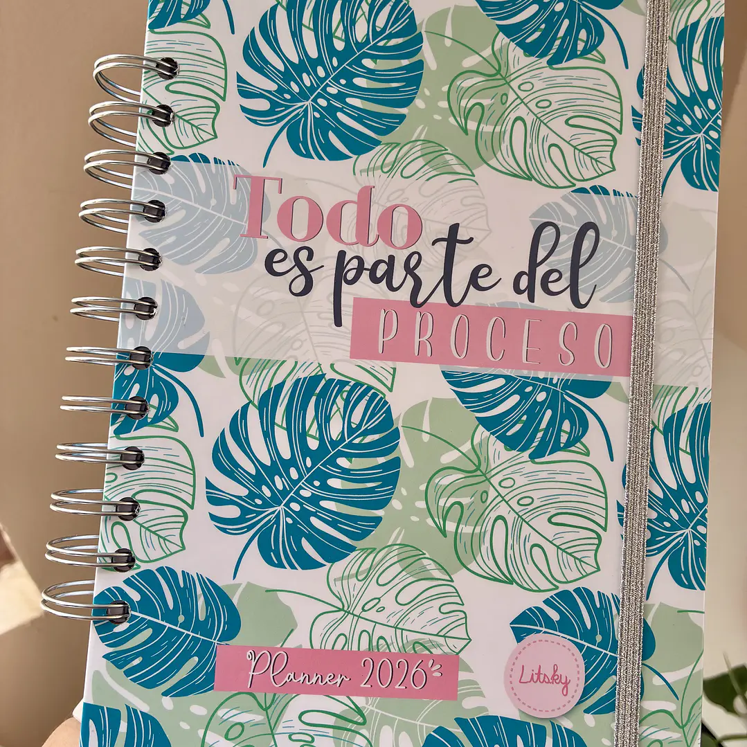Sale - Planner 2026 líneas colores  1