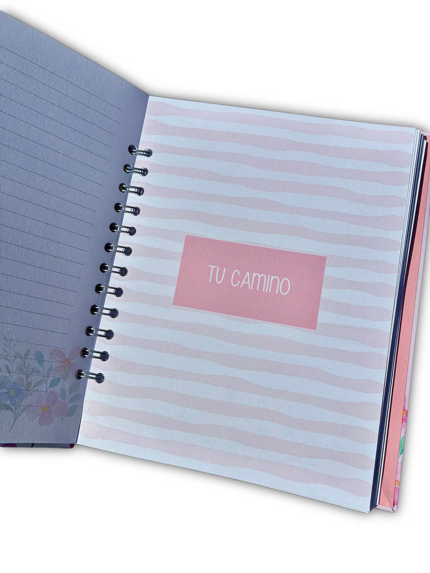 Libro Cuéntame tu historia abuelita 4