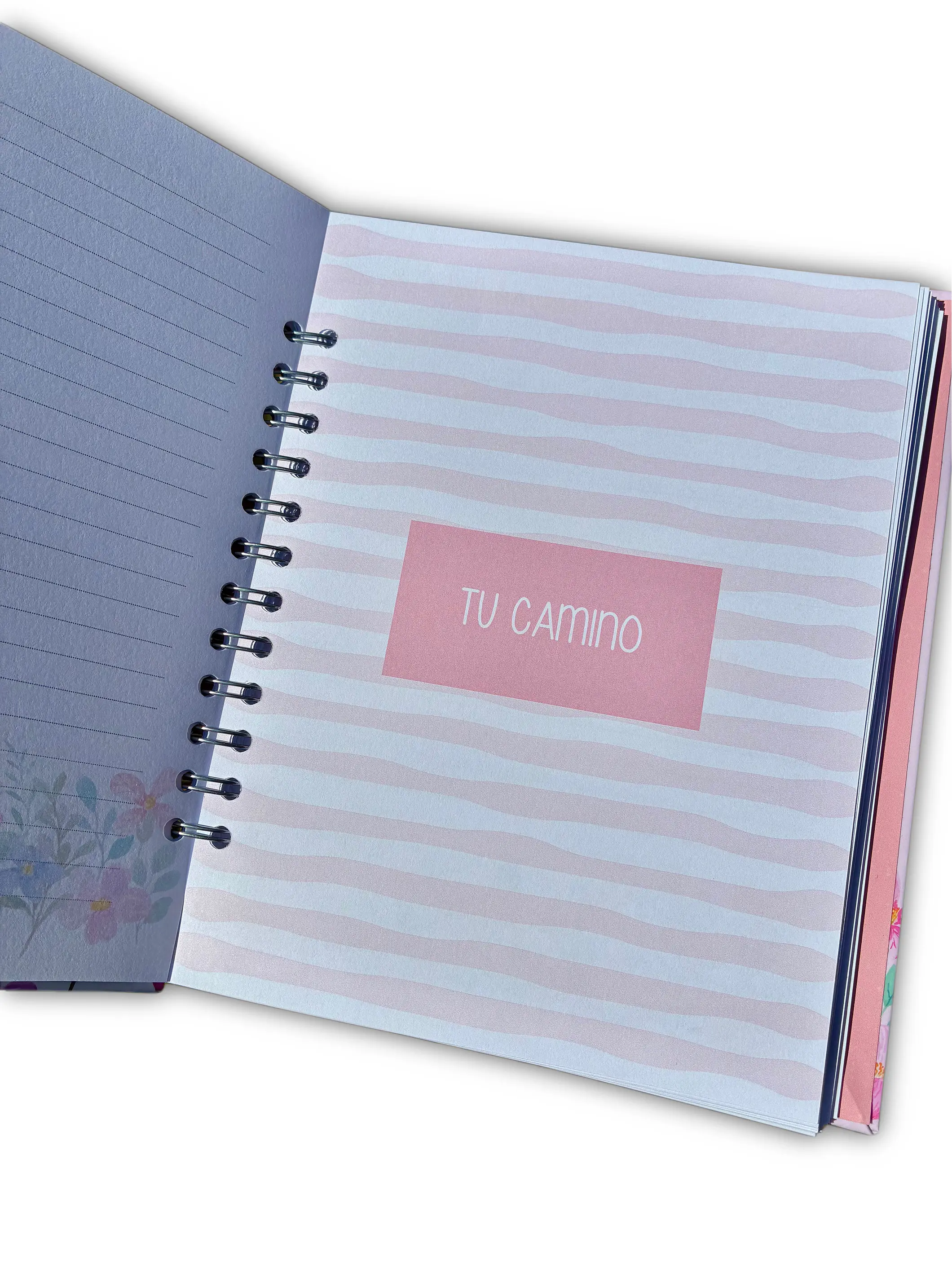 Libro Cuéntame tu historia abuelita 4