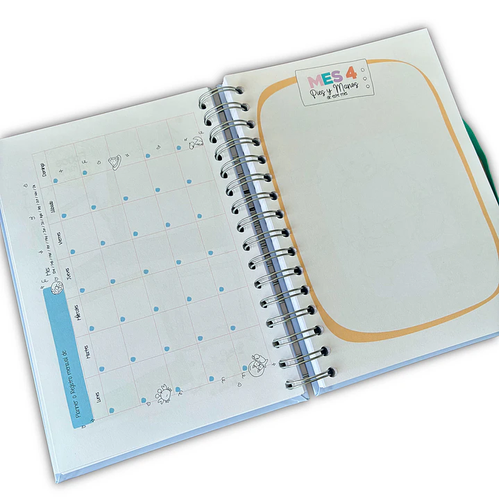 Carnet Pediátrico + Libro de recuerdos Niño 9