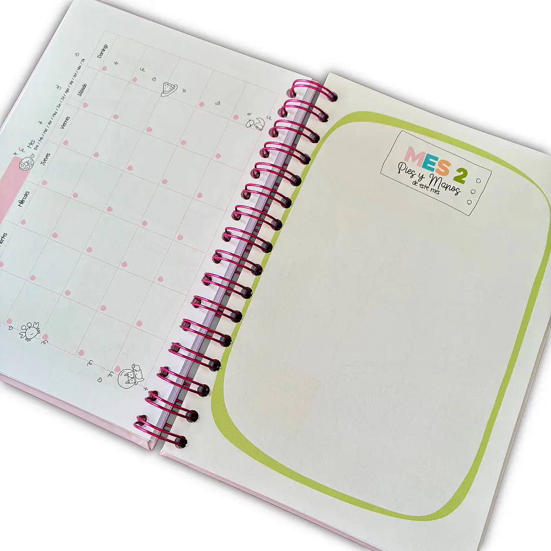 Carnet Pediátrico + Libro de recuerdos Niña 10