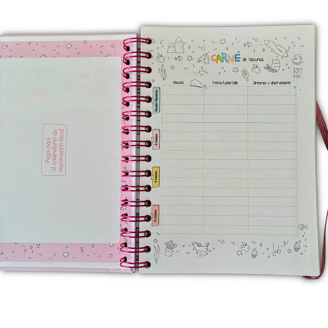Carnet Pediátrico + Libro de recuerdos Niña 6
