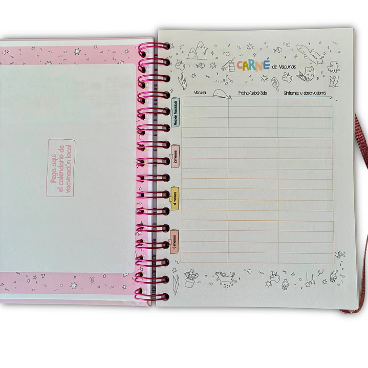 Carnet Pediátrico + Libro de recuerdos Niña 6