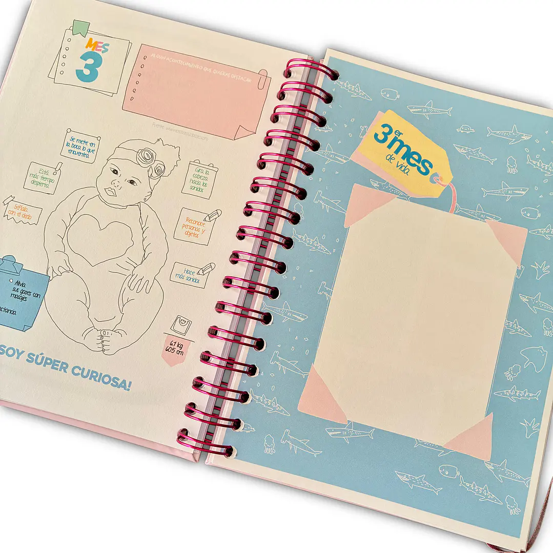 Carnet Pediátrico + Libro de recuerdos Niña 2
