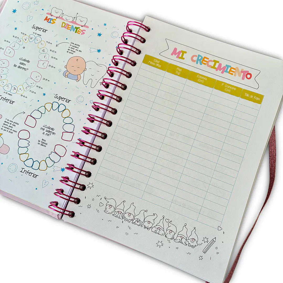 Carnet Pediátrico + Libro de recuerdos Niña 5