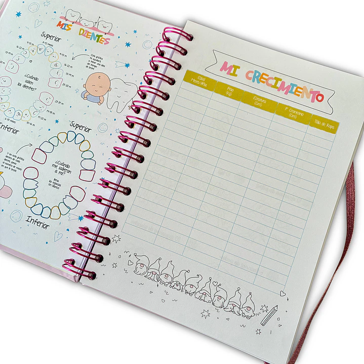Carnet Pediátrico + Libro de recuerdos Niña 5