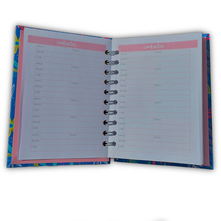 Miniplanner Sin fecha - Edición Líneas - Tricolor  7