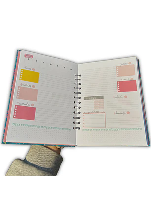 Planner sin fecha - Estelar rosado - Estilo líneas 