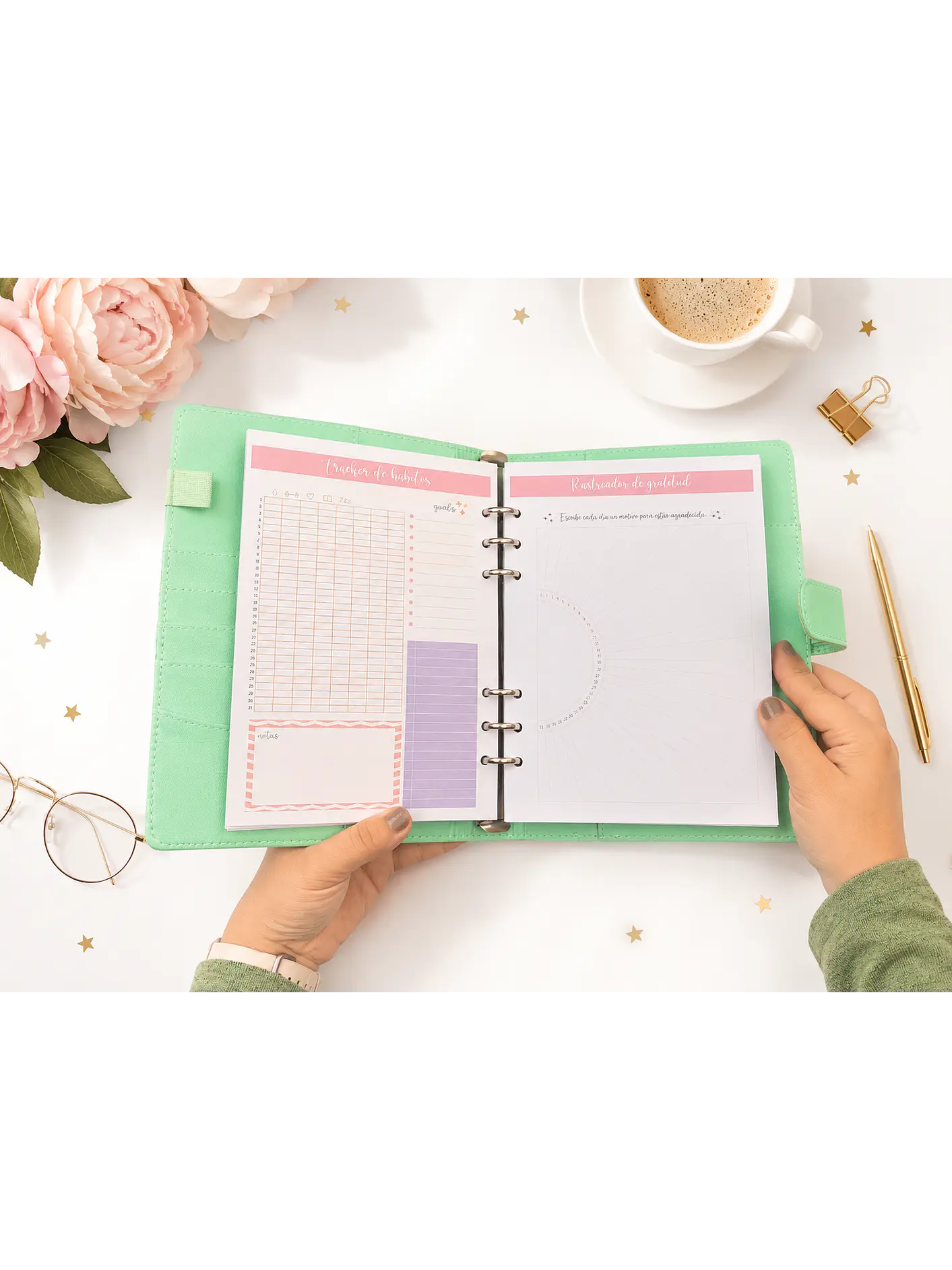 Binder planner eterno 12 meses  1