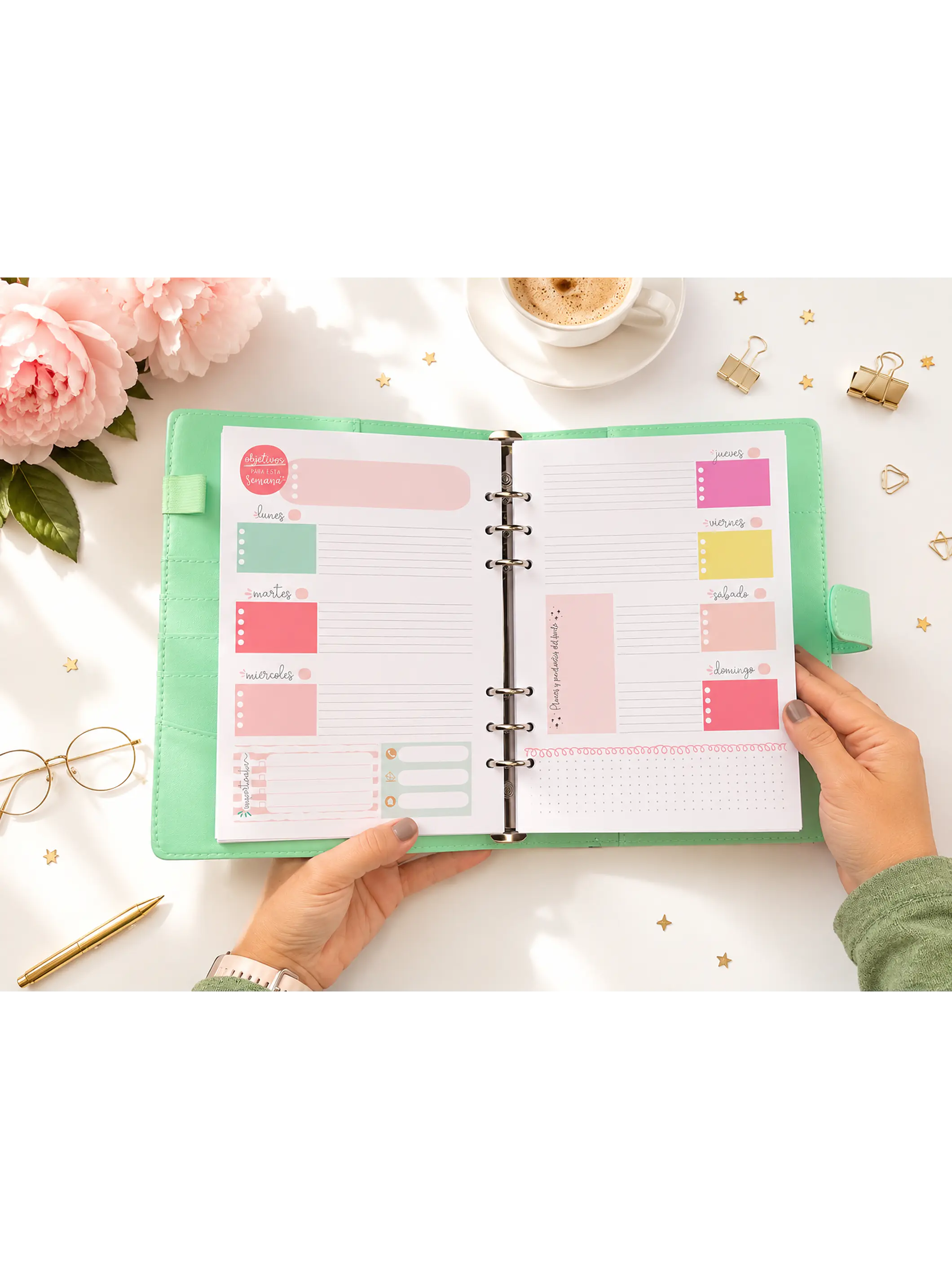 Binder planner eterno 12 meses  2