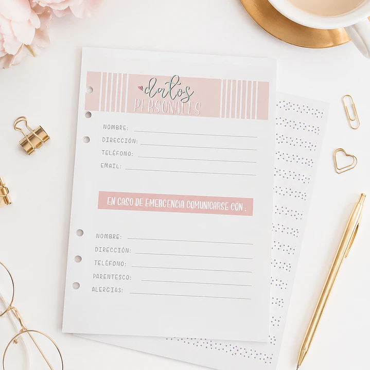Insert Planner no fechado 12 meses  4