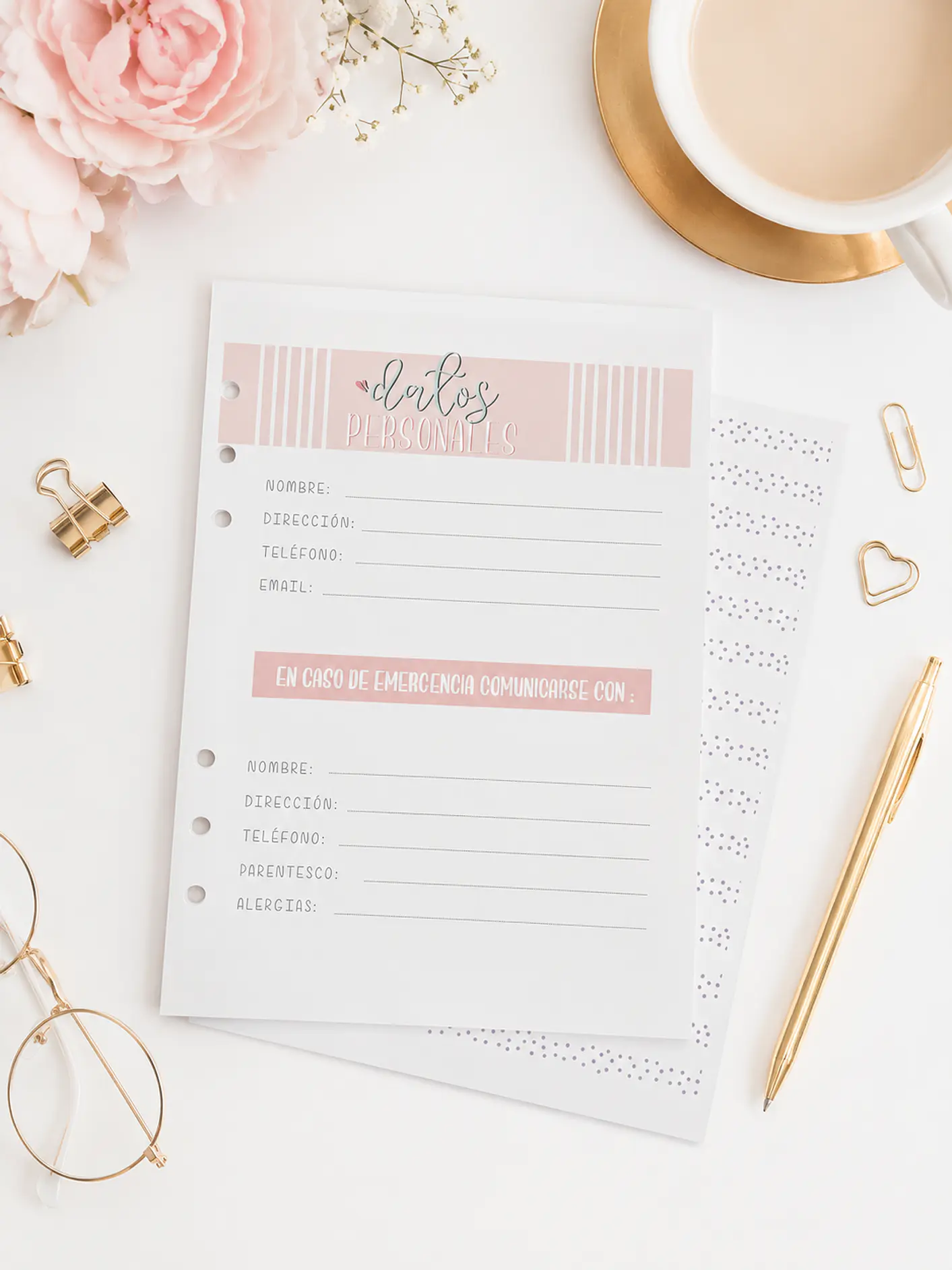 insert Planner no fechado 6 meses  4