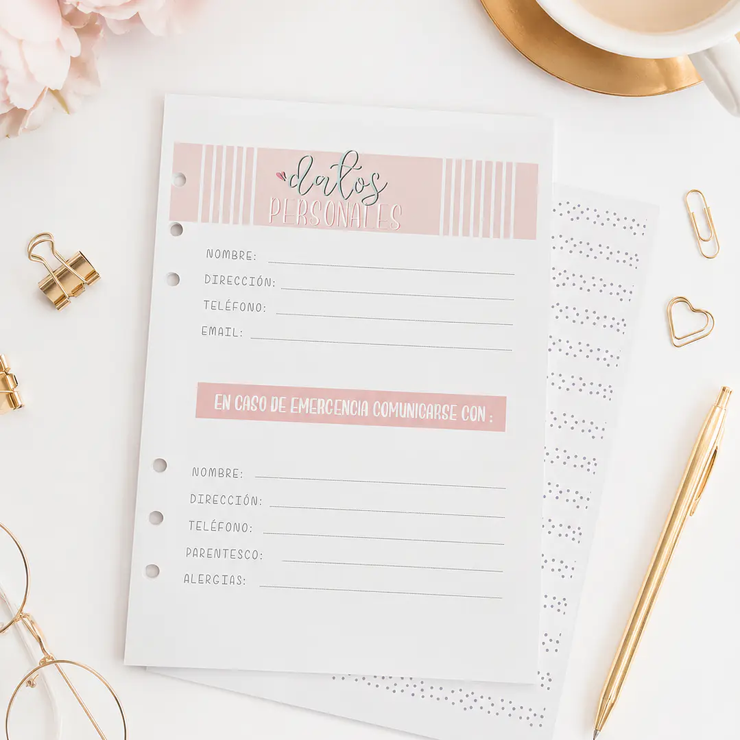 insert Planner no fechado 6 meses  4