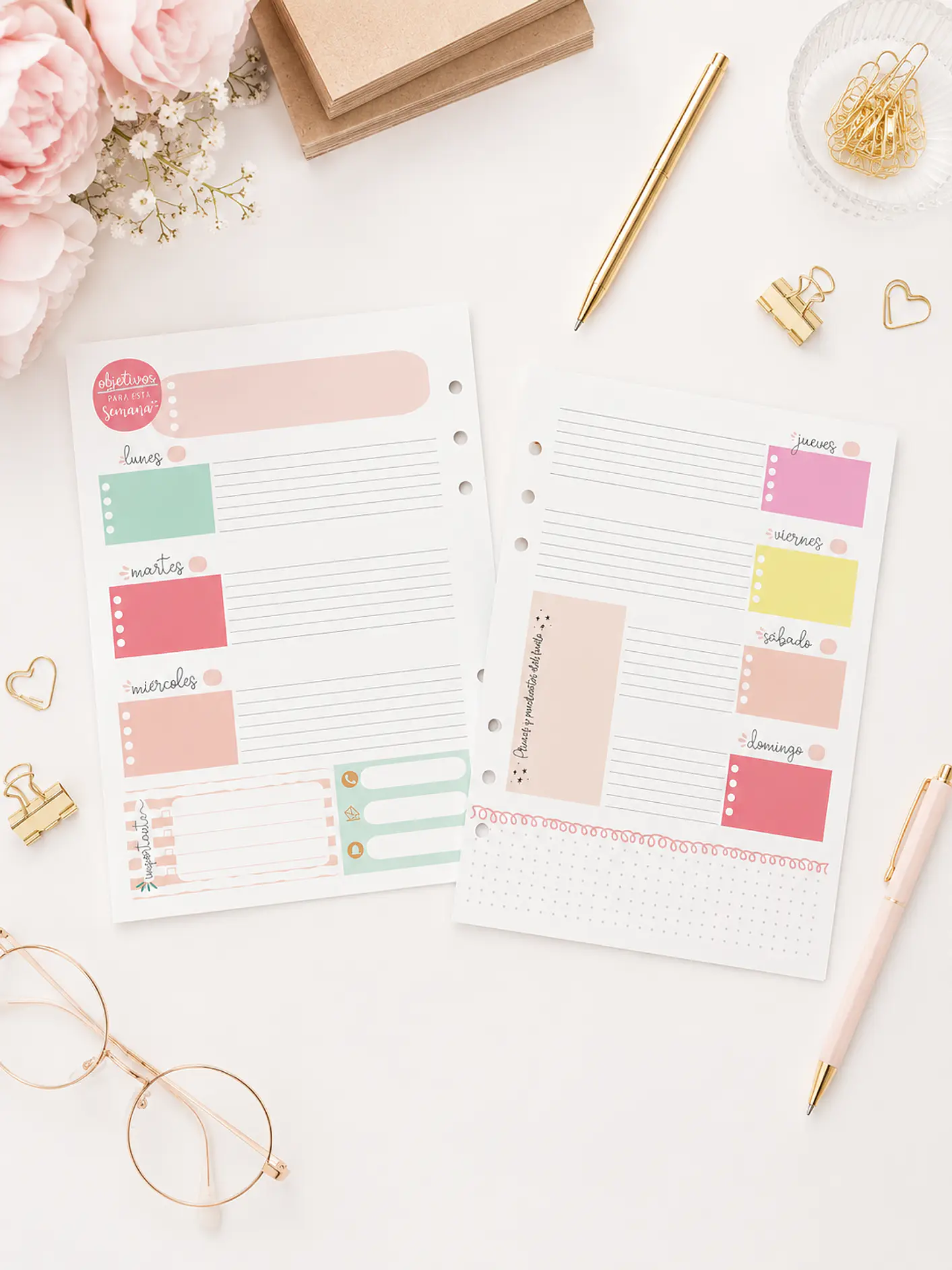 insert Planner no fechado 6 meses  1