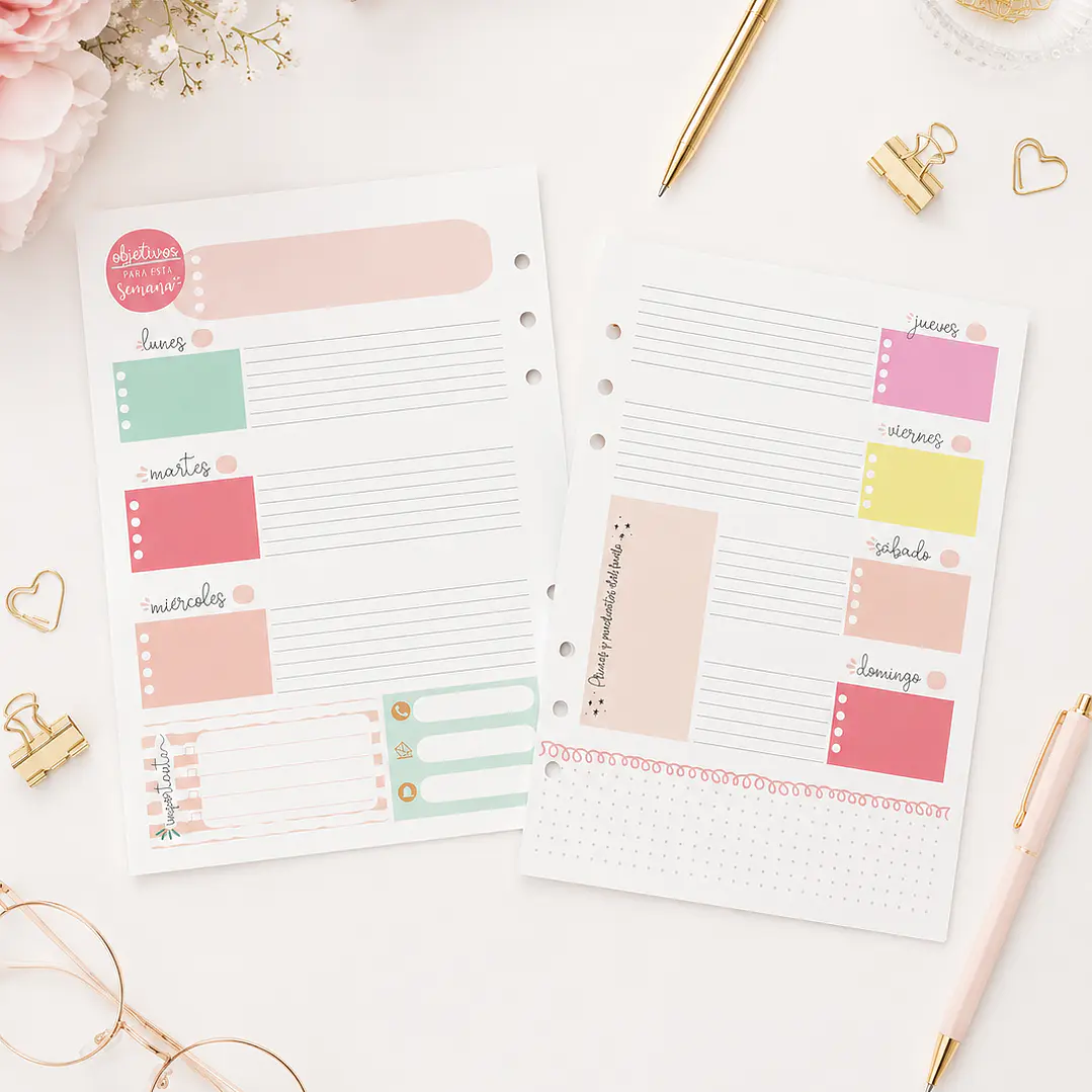 insert Planner no fechado 6 meses  1