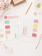 insert Planner no fechado 6 meses  - Miniatura 1