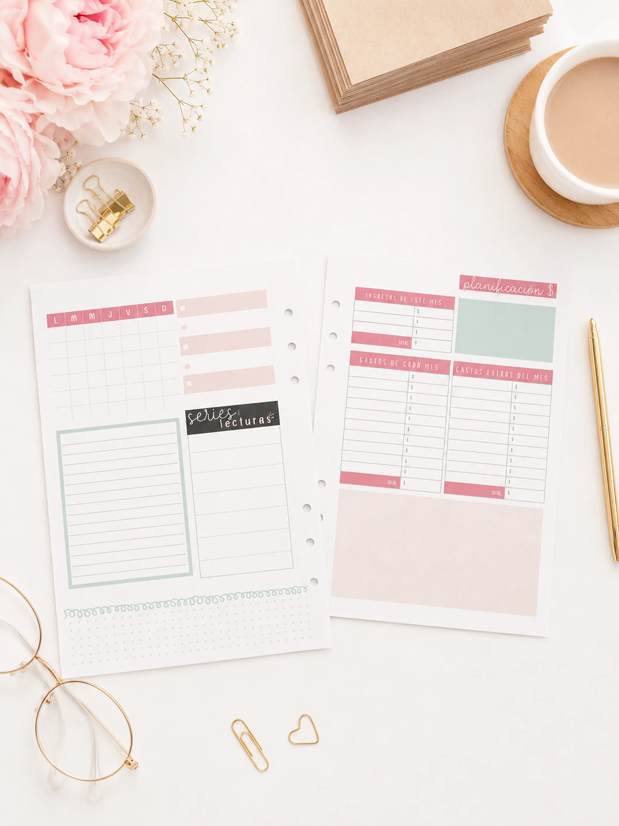 insert Planner no fechado 6 meses  2