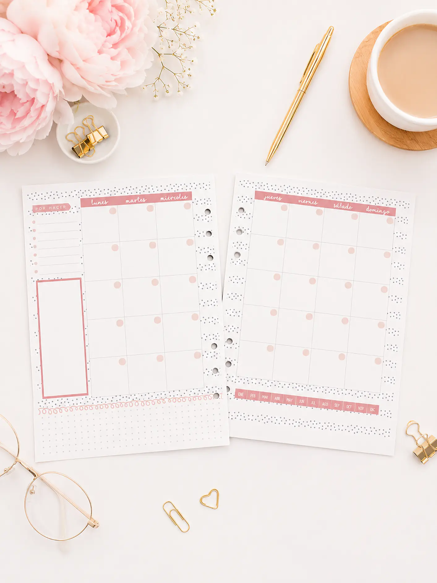 insert Planner no fechado 6 meses  3
