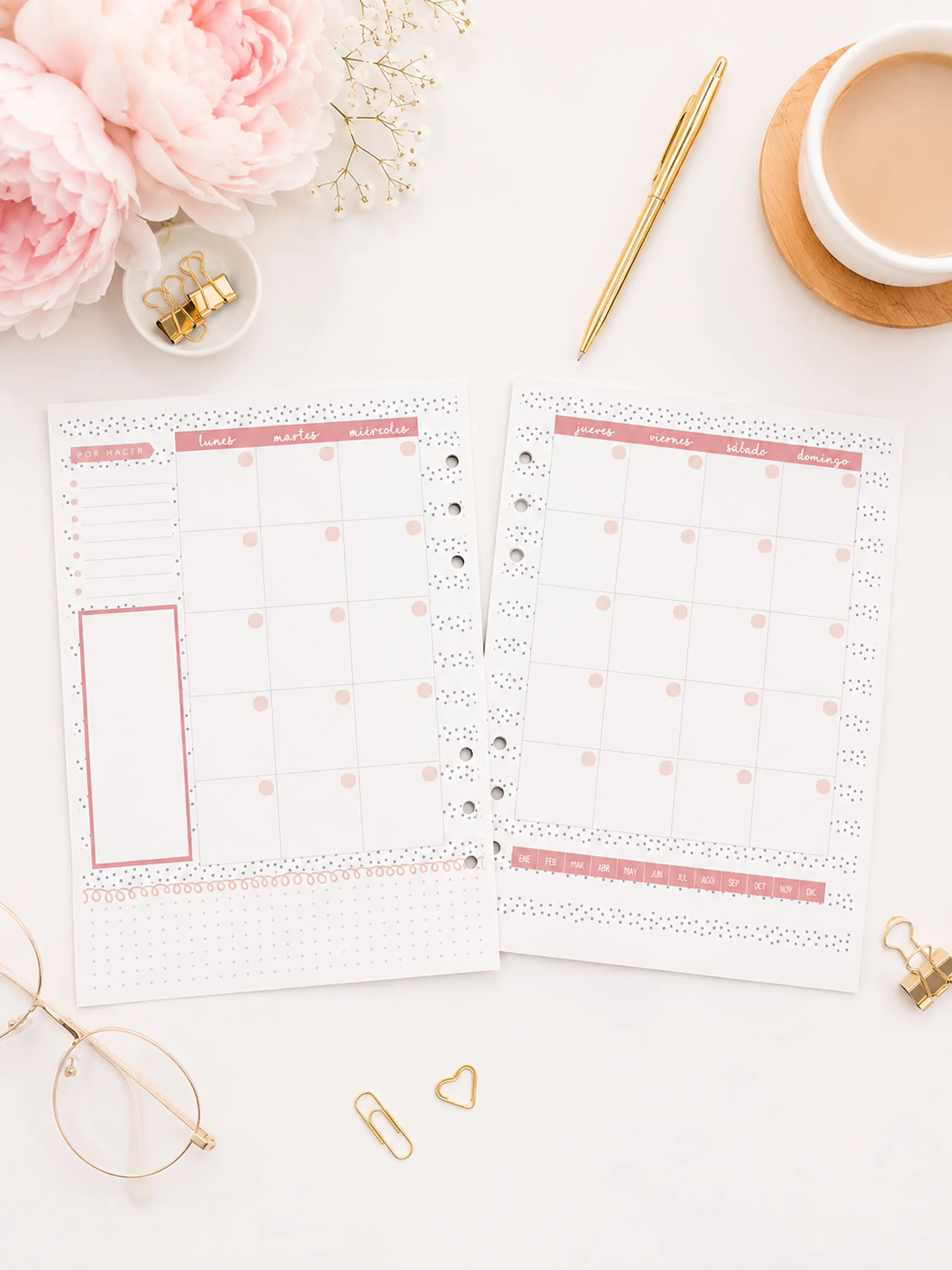 insert Planner no fechado 6 meses  3