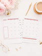 insert Planner no fechado 6 meses  - Miniatura 3