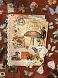 Stickers vintage mariposas 100 hojas  - Miniatura 2