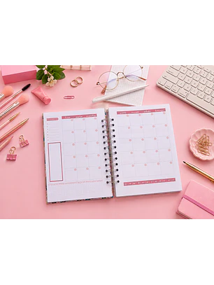 Planner eterno colores (año completo) A5