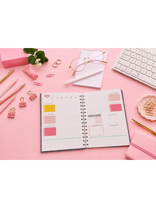 Planner sin fecha en Líneas 12 meses