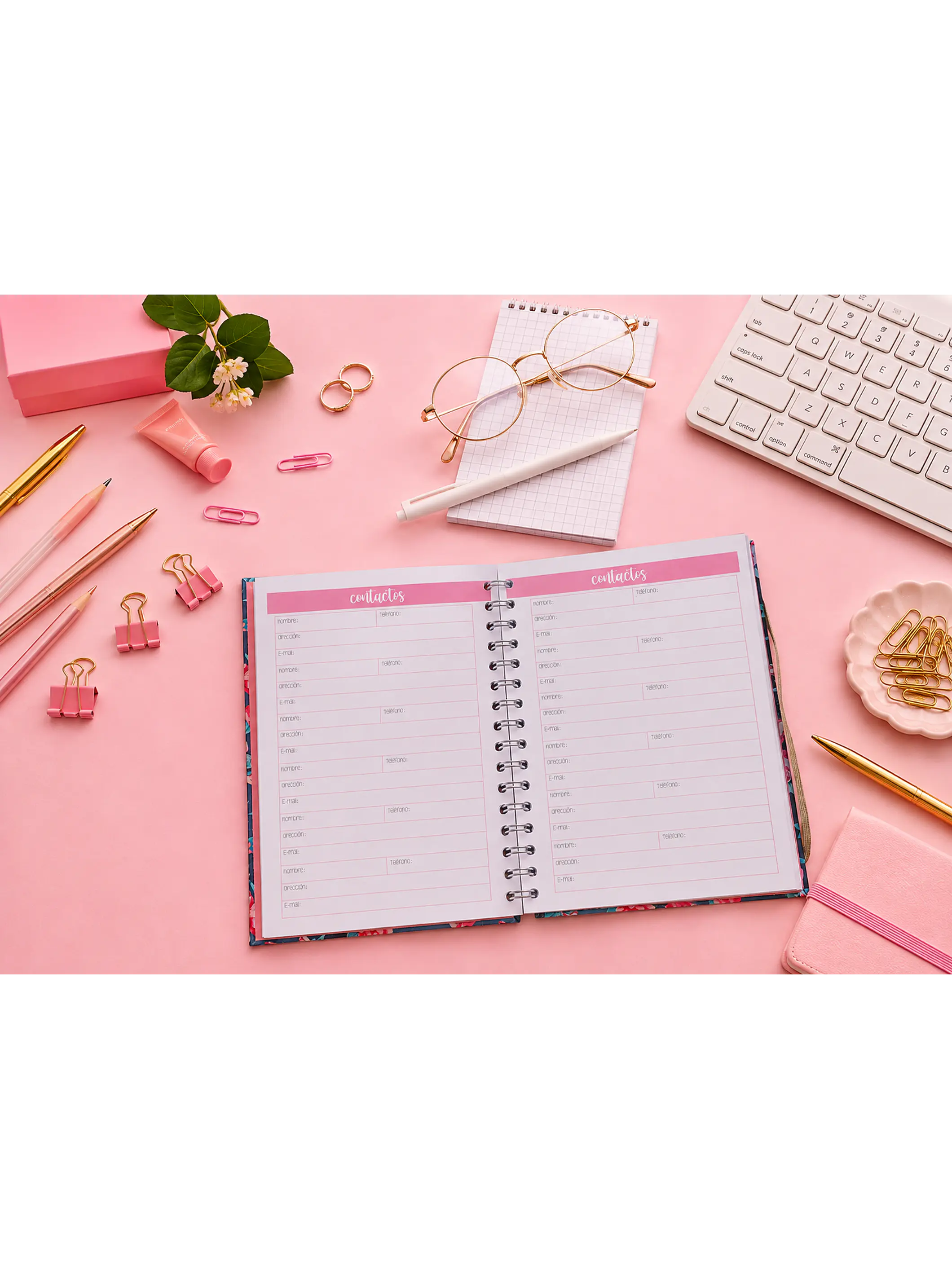 Planner sin fecha en Líneas 12 meses 7