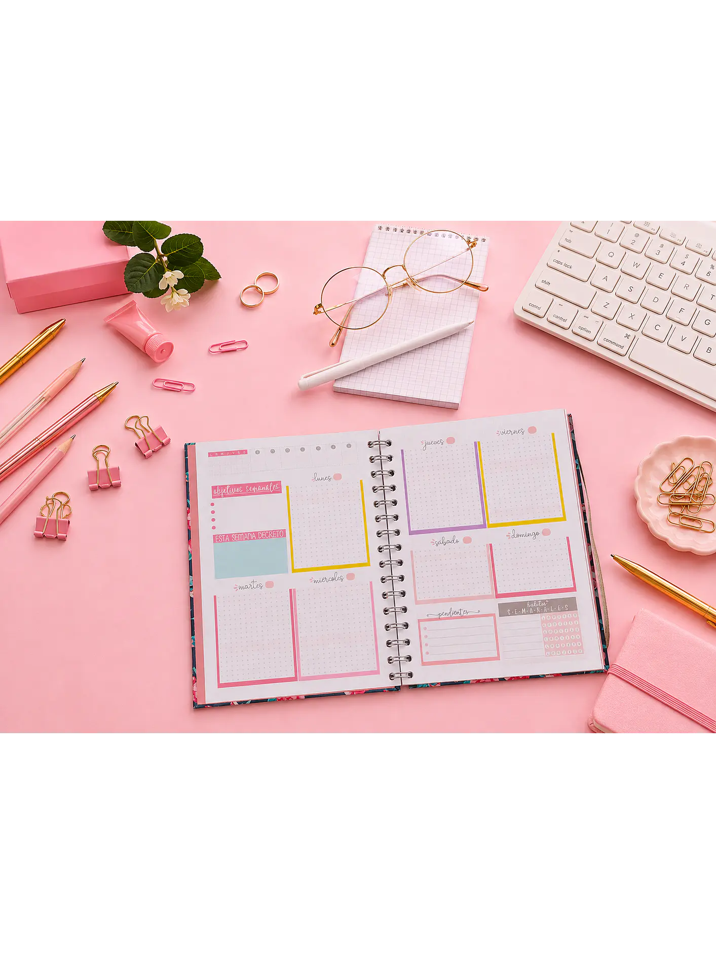 Planner sin fecha en Puntos 12 meses 1