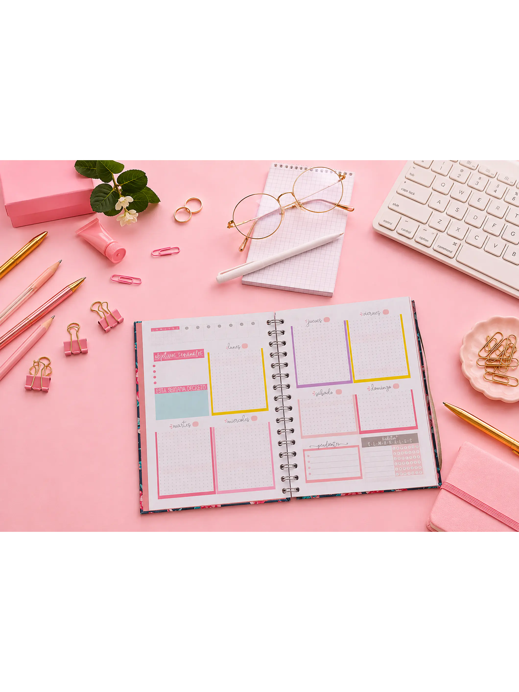 Planner sin fecha en Puntos 12 meses 1