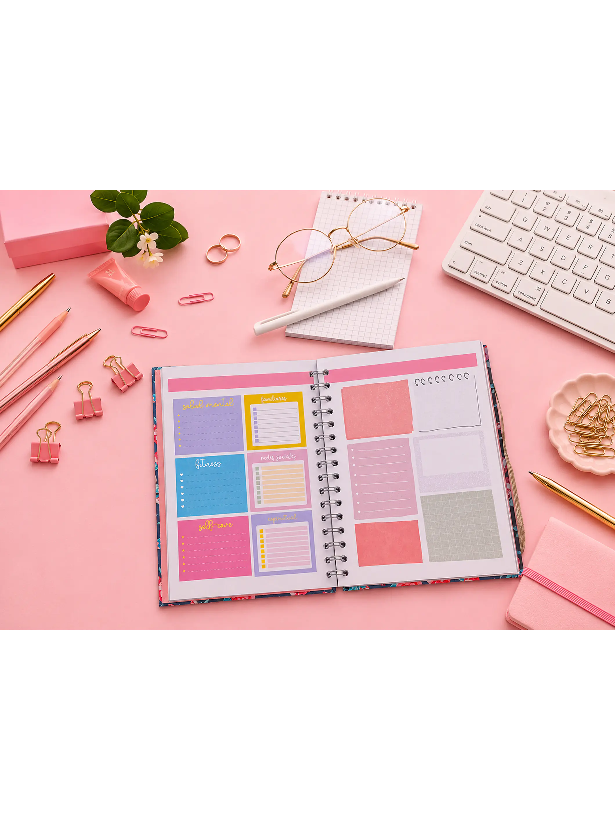 Planner sin fecha en Puntos 12 meses 4
