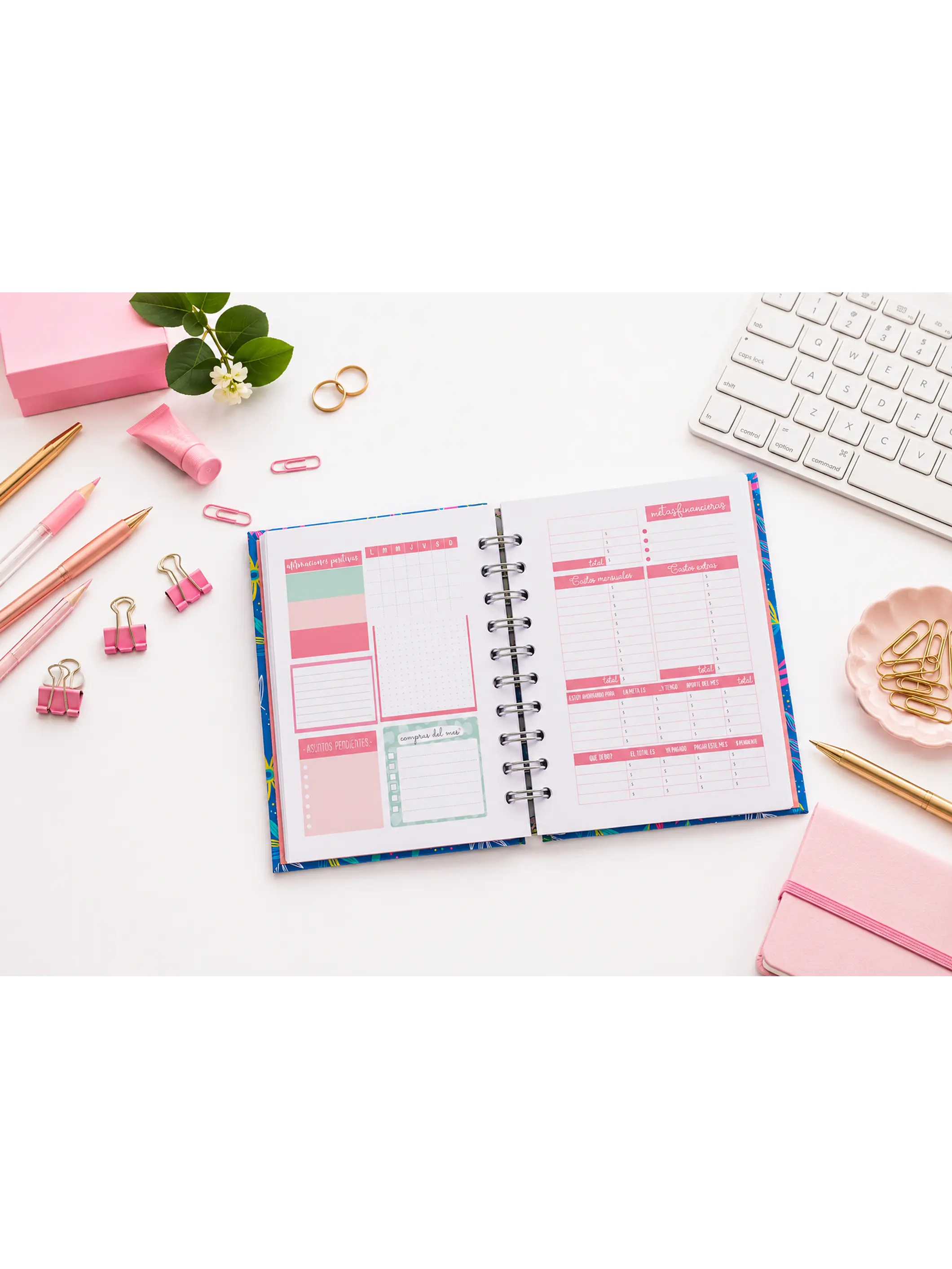 Miniplanner sin fecha en Líneas 2