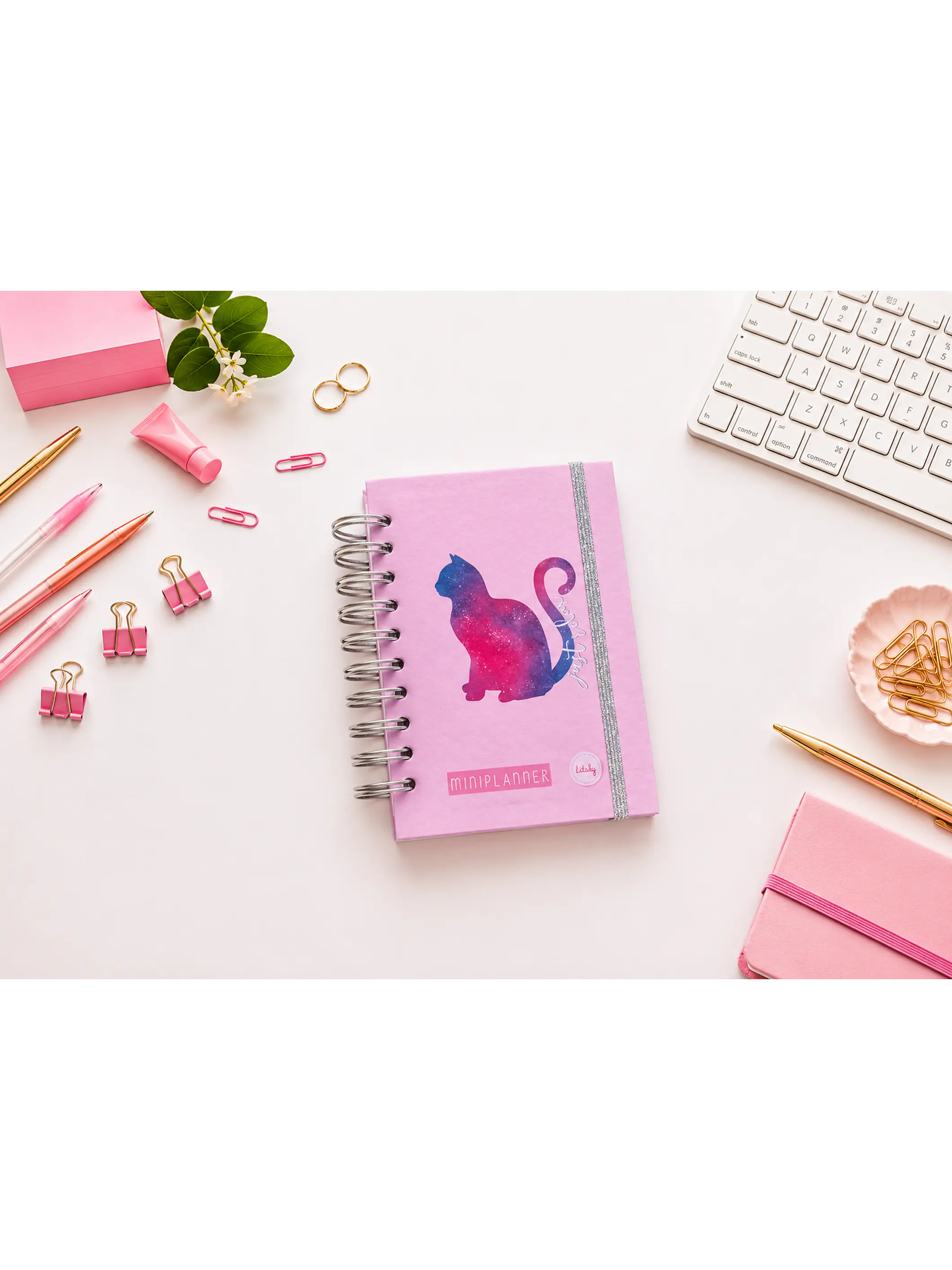 Miniplanner sin fecha en Líneas 15
