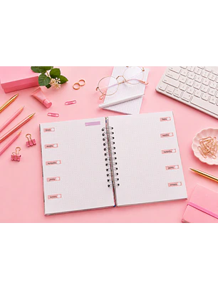 Planner universitario Flamenco rosado