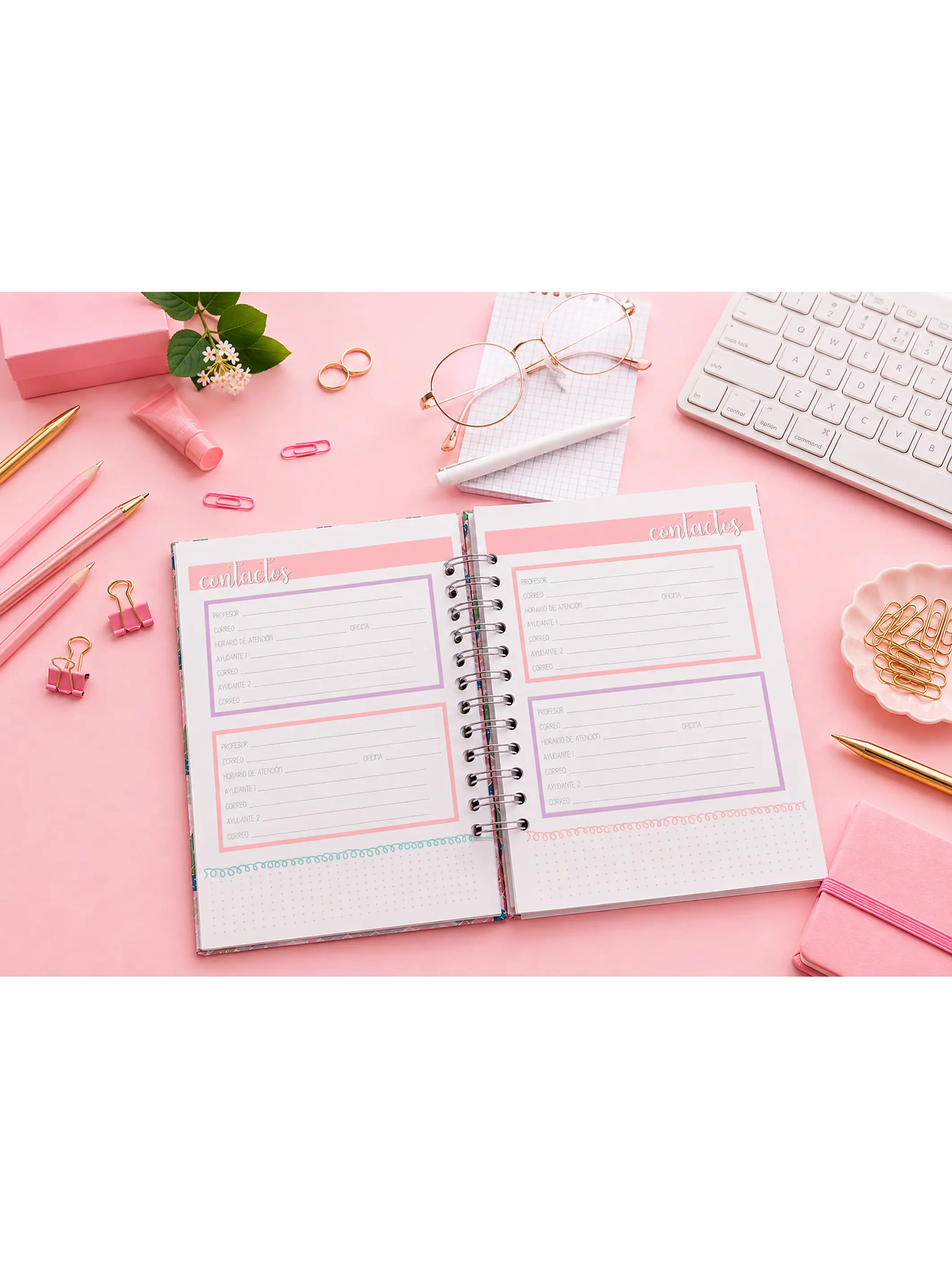 Planner universitario sin fecha - Este año conquistamos 4
