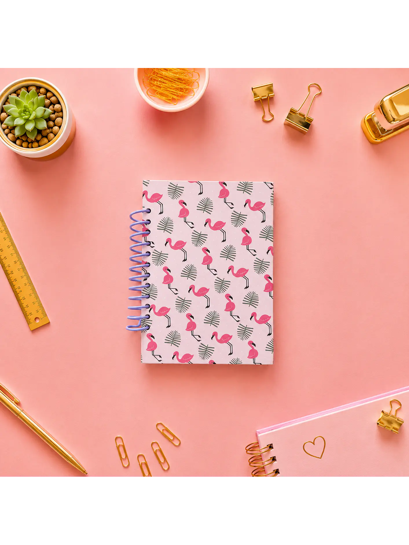 Cuaderno Flamencos 1