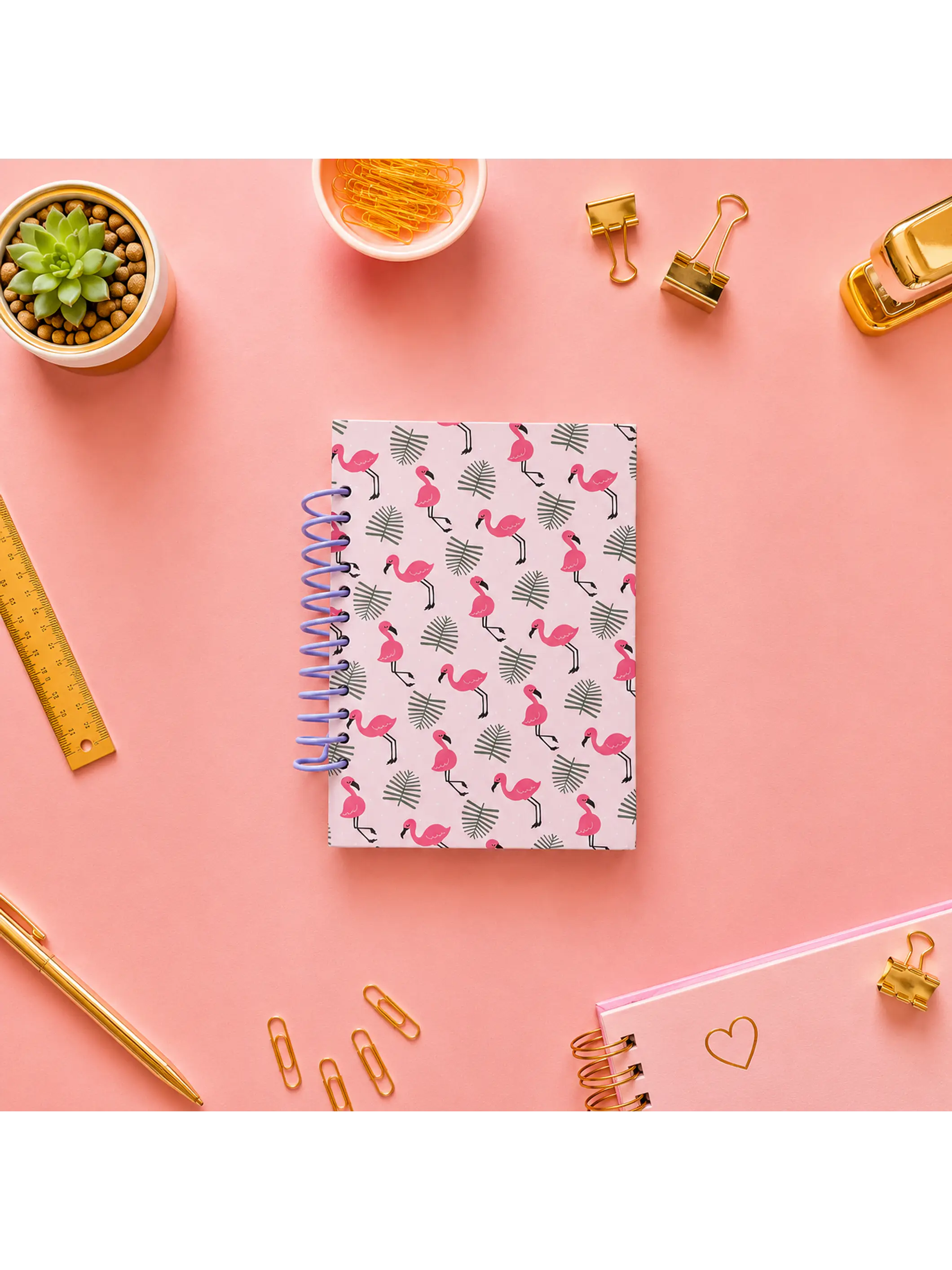 Cuaderno Flamencos 1