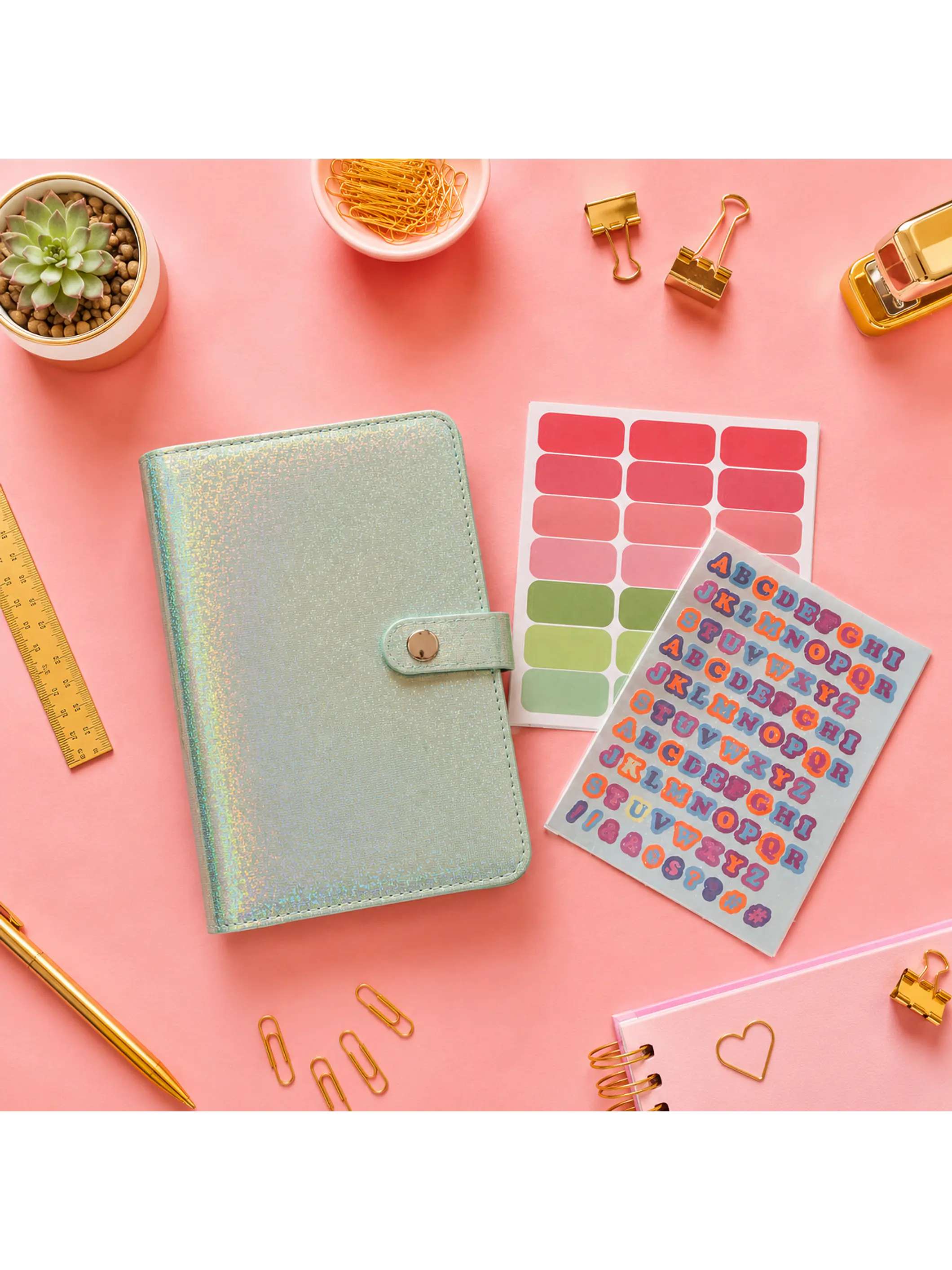 Binder organizador de gastos glitter  5