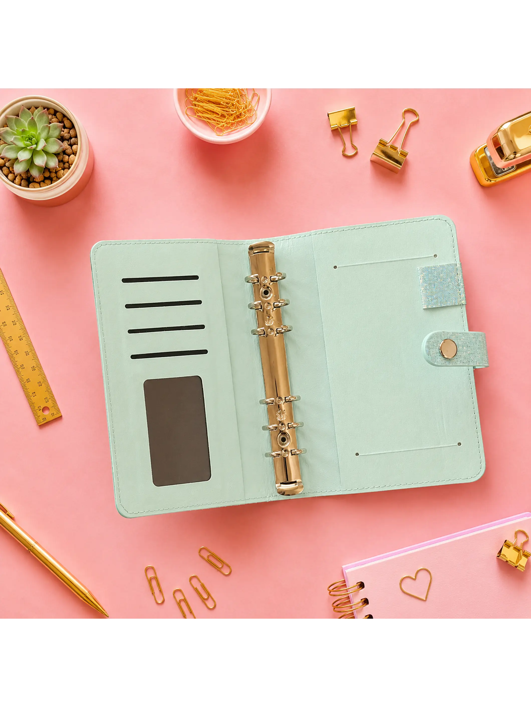 Binder organizador de gastos glitter  2