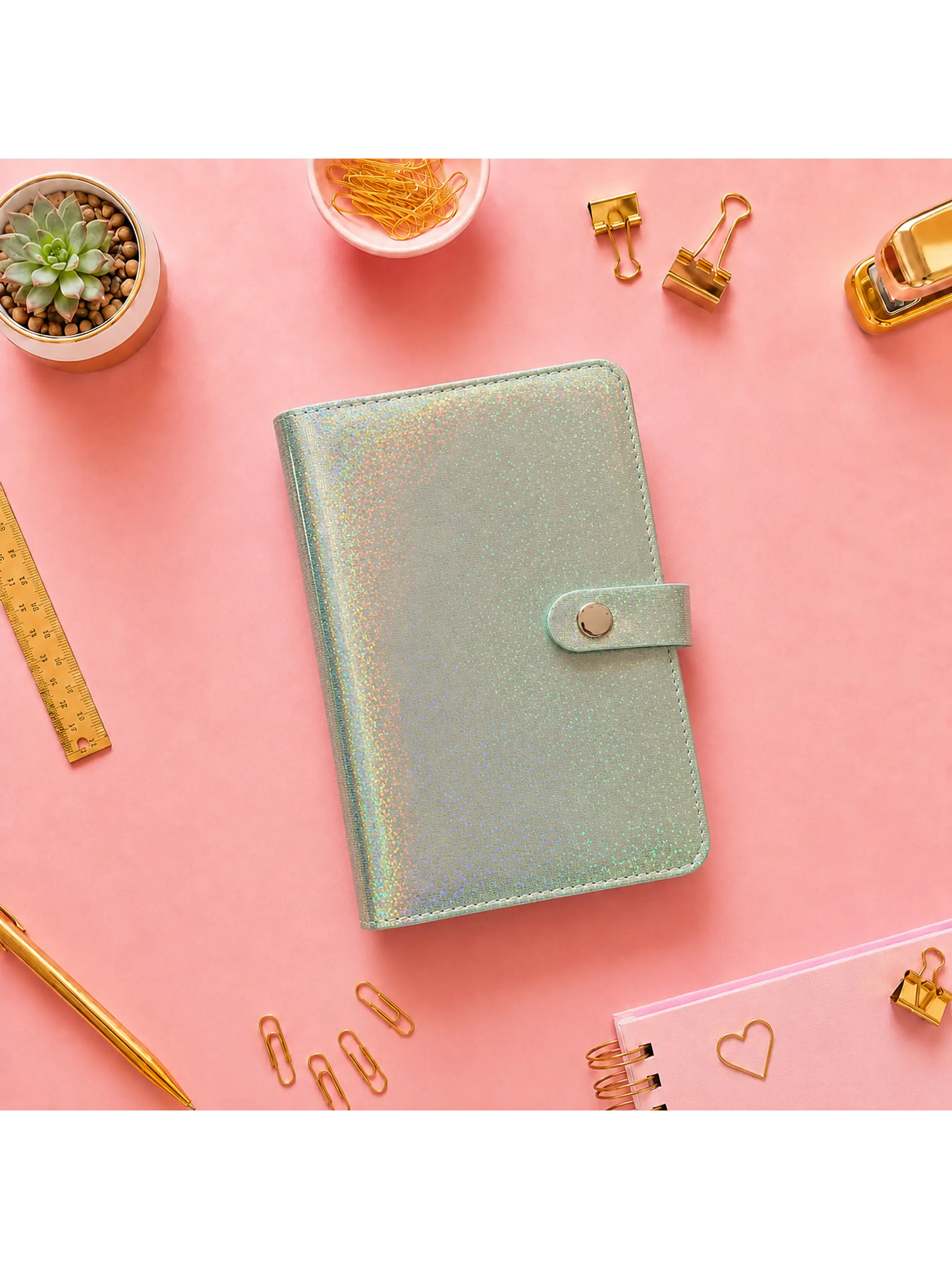 Binder organizador de gastos glitter  3
